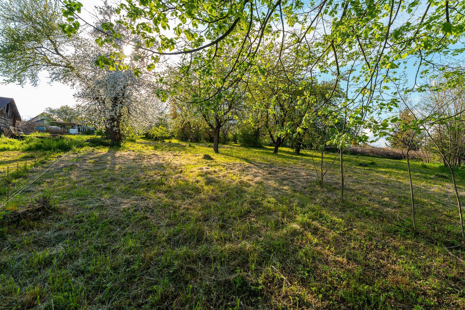 Prodej dům Chata, 110 m², Ledečko 108, 285 06 Ledečko, Česko